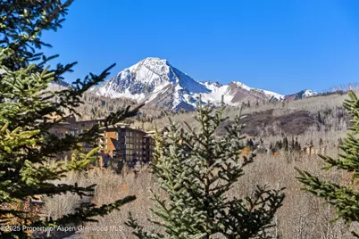 229 Faraway Road #35, Snowmass Village, CO 81615 - Photo 13
