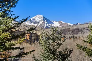 229 Faraway Rd, Snowmass Village, CO 81615 - Photo 13