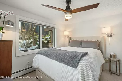 119 E Cooper Avenue #5, Aspen, CO 81611 - Photo 9