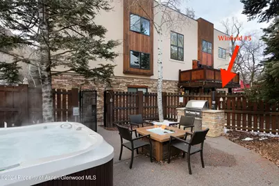 119 E Cooper Avenue #5, Aspen, CO 81611 - Photo 17