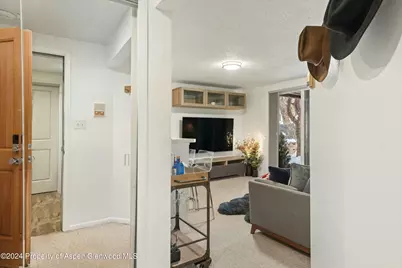 119 E Cooper Avenue #5, Aspen, CO 81611 - Photo 3