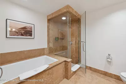 415 E Dean St, Unit 38, Week 33, Aspen, CO 81611 - Photo 23