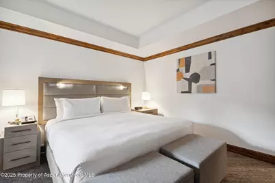 415 E Dean St, Unit 38, Week 33, Aspen, CO 81611 - Photo 21