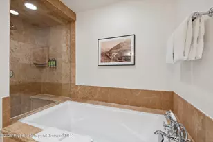 415 E Dean St Unit 38 Week 33, Aspen, CO 81611 - Photo 31