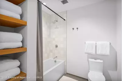 119 Wood Road #101, Snowmass Village, CO 81615 - Photo 21