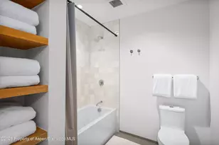 119 Wood Rd, Snowmass Village, CO 81615 - Photo 21