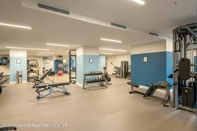 119 Wood Road #101, Snowmass Village, CO 81615 - Photo 29