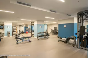 119 Wood Rd, Snowmass Village, CO 81615 - Photo 29