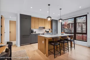 119 Wood Rd, Snowmass Village, CO 81615 - Photo 11