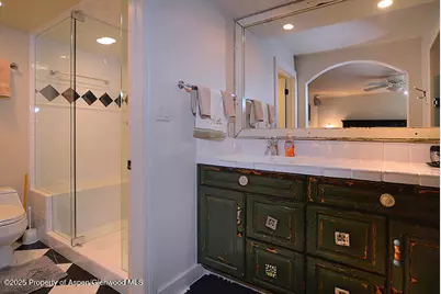 800 E Hopkins Avenue #A-1, Aspen, CO 81611 - Photo 9