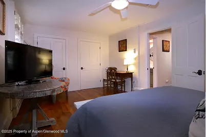 800 E Hopkins Avenue #A-1, Aspen, CO 81611 - Photo 11