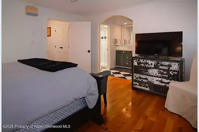 800 E Hopkins Avenue #A-1, Aspen, CO 81611 - Photo 7