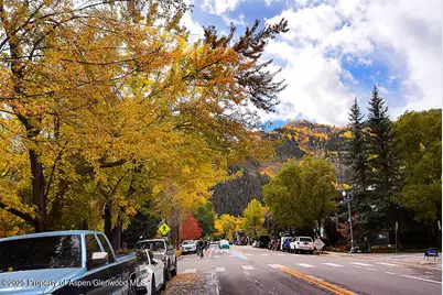 800 E Hopkins Avenue #A-1, Aspen, CO 81611 - Photo 13