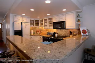 800 E Hopkins Ave, Aspen, CO 81611 - Photo 1