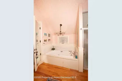 715 W Smuggler Street, Aspen, CO 81611 - Photo 13
