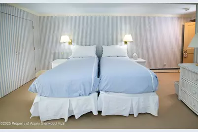 715 W Smuggler Street, Aspen, CO 81611 - Photo 19