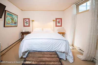 715 W Smuggler Street, Aspen, CO 81611 - Photo 23