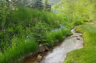 425 Park Cir, Aspen, CO 81611 - Photo 7