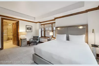 415 E Dean St, #25, Week 6, Aspen, CO 81611 - Photo 13