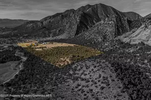 240 Lafrenz Cir, Silt, CO 81652 - Photo 45