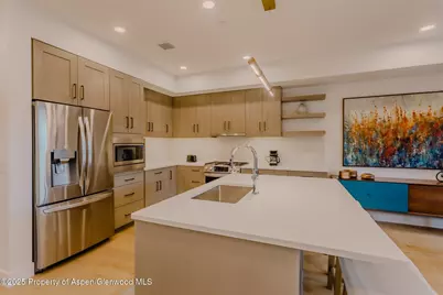 220 E Lewis Lane, Basalt, CO 81621 - Photo 9