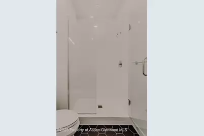 220 E Lewis Lane, Basalt, CO 81621 - Photo 47