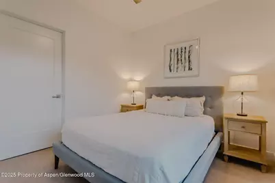 220 E Lewis Lane, Basalt, CO 81621 - Photo 43