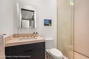 155 Lone Pine Rd, Aspen, CO 81611 - Photo 29