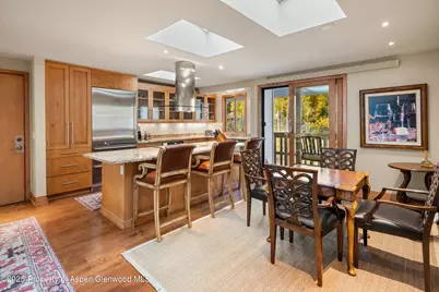 1020 E Hopkins Avenue #9, Aspen, CO 81611 - Photo 9