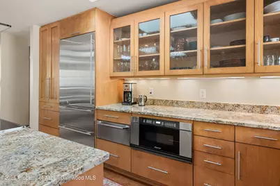 1020 E Hopkins Avenue #9, Aspen, CO 81611 - Photo 11