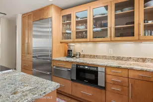 1020 E Hopkins Ave, Aspen, CO 81611 - Photo 11