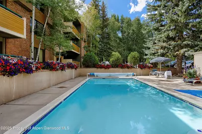 1020 E Hopkins Avenue #9, Aspen, CO 81611 - Photo 23