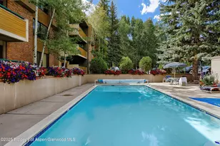 1020 E Hopkins Ave, Aspen, CO 81611 - Photo 23