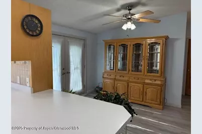 110 Floyd, ElJebel, CO 81623 - Photo 5