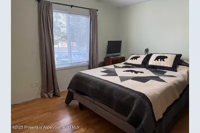 110 Floyd, ElJebel, CO 81623 - Photo 11