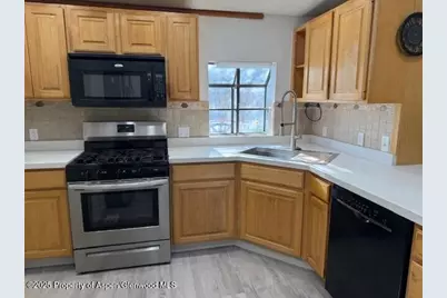 110 Floyd, ElJebel, CO 81623 - Photo 3