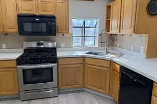 110 Floyd, ElJebel, CO 81623 - Photo 3