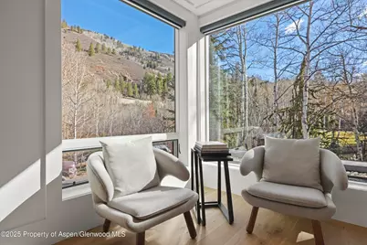 55 Smuggler Grove Road, Aspen, CO 81611 - Photo 27