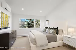 55 Smuggler Grove Rd, Aspen, CO 81611 - Photo 39