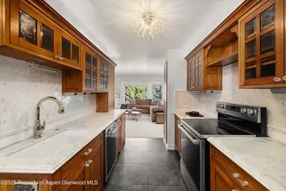 1041 Vine Street, Aspen, CO 81611 - Photo 3