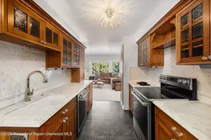 1041 Vine St, Aspen, CO 81611 - Photo 3