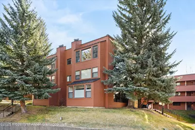 1041 Vine Street, Aspen, CO 81611 - Photo 9