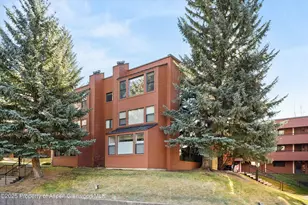 1041 Vine St, Aspen, CO 81611 - Photo 9