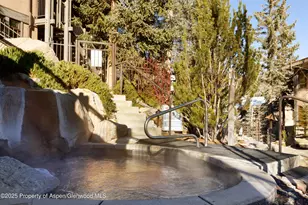 600 Carriage Way, Snowmass Village, CO 81615 - Photo 23