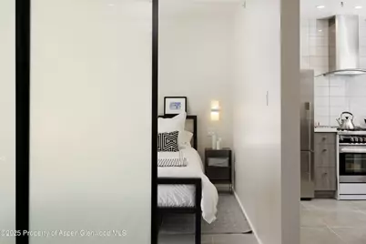 600 Carriage Way #L-6, Snowmass Village, CO 81615 - Photo 9