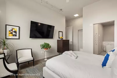 103 Willits Way #204, Basalt, CO 81621 - Photo 13