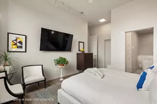 103 Willits Wy, Basalt, CO 81621 - Photo 13