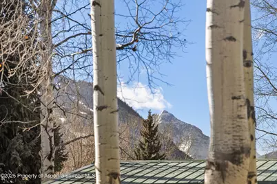 824 Bonita Drive, Aspen, CO 81611 - Photo 33