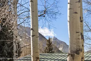 824 Bonita Dr, Aspen, CO 81611 - Photo 33