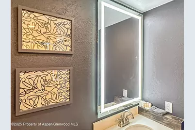 1050 Waters Avenue #9, Aspen, CO 81611 - Photo 17